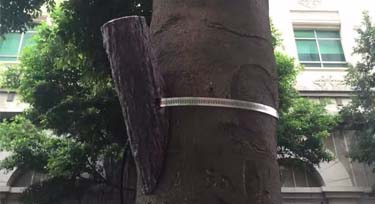 光臣照明CREE仿真照樹(shù)燈定制分享