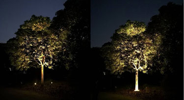 LED抱樹燈VS投光燈 在園林亮化中哪個(gè)應(yīng)用效果好?